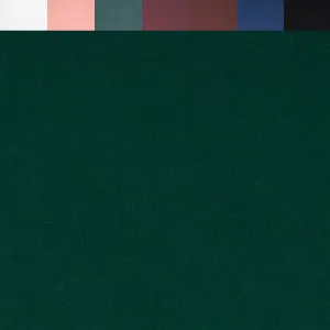 FabricLA DTY Double Brushed Polyester Spandex Knit Fabric | Hunter Green